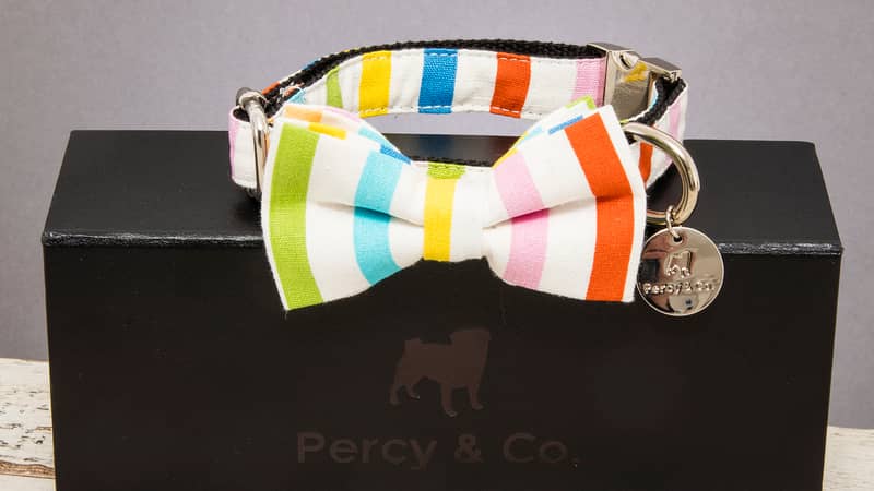 Percy & Co. The Thurlestone Bow Tie on Box