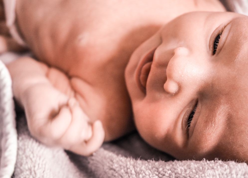 The Sprout - my inspiration and my tiny muse