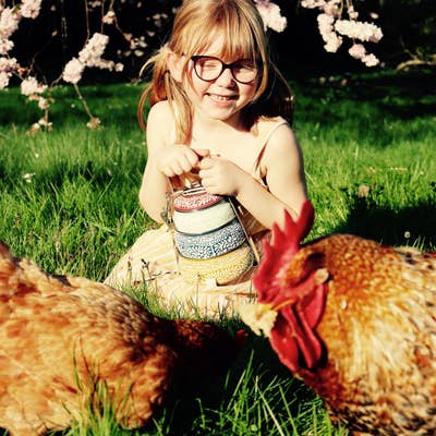 Canister Set Canister Trio