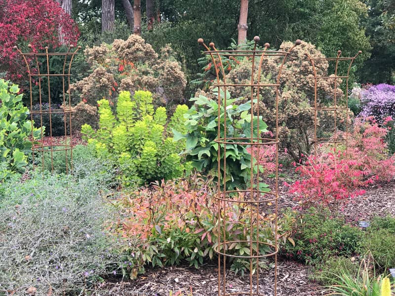 Muntons at RHS Wisley Gardens