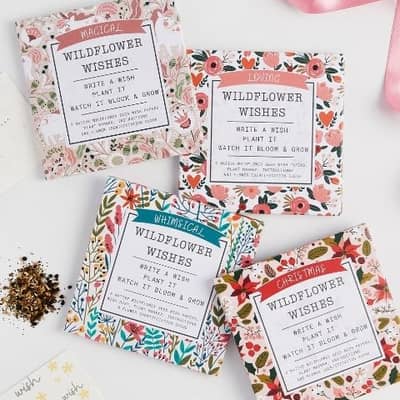 Wildflower Wishes - plant your wishes and watch them grow