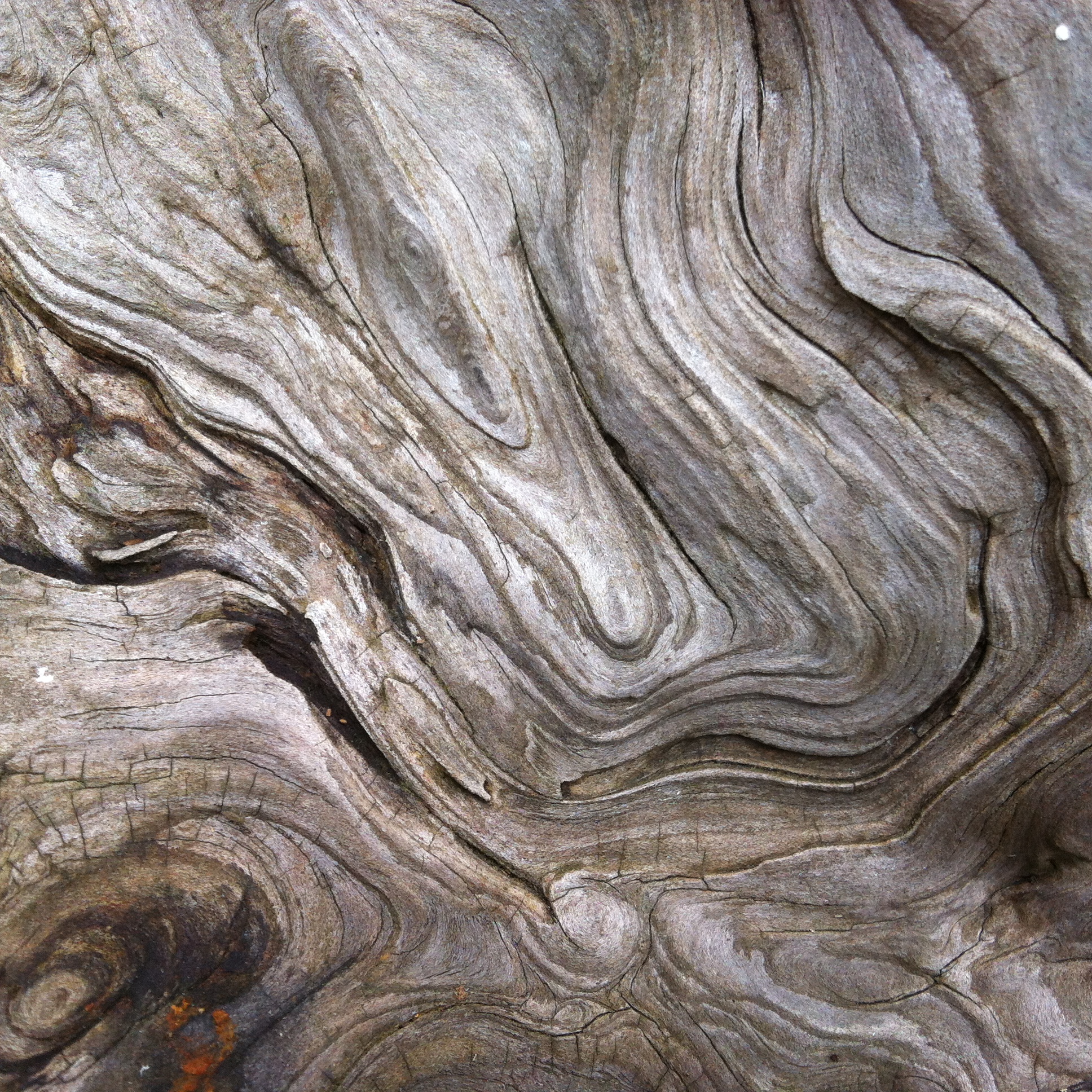 Inspired by the beauty of wood