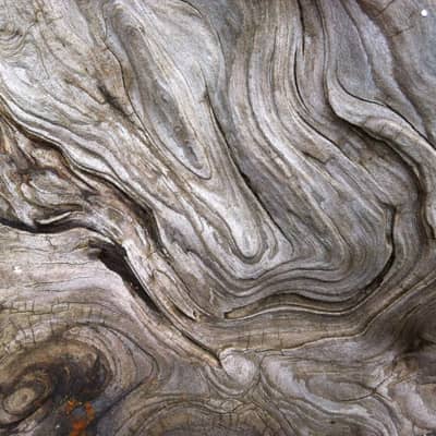 Inspired by the beauty of wood