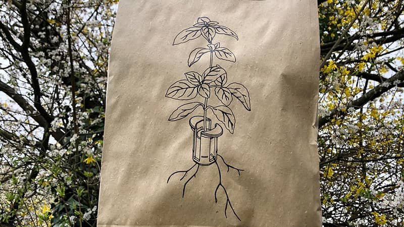 Hand printed grass mailer bag