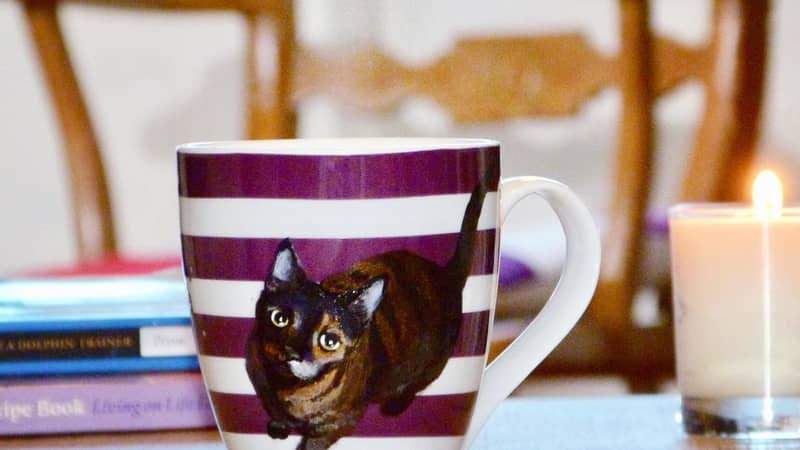 Fluffy kitten Mug Commision