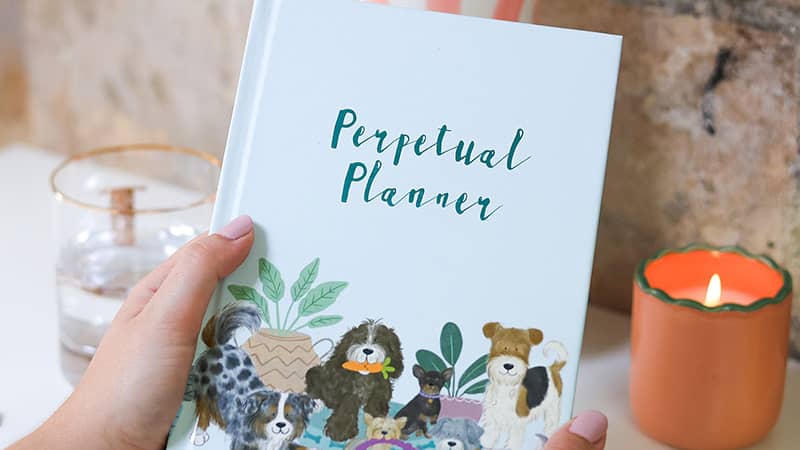 2026 PERPETUAL PLANNER