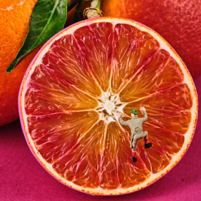 blood orange pomegranate pineapple mint ginseng natural mixed cocktail luvjus alcohol vodka luv jus