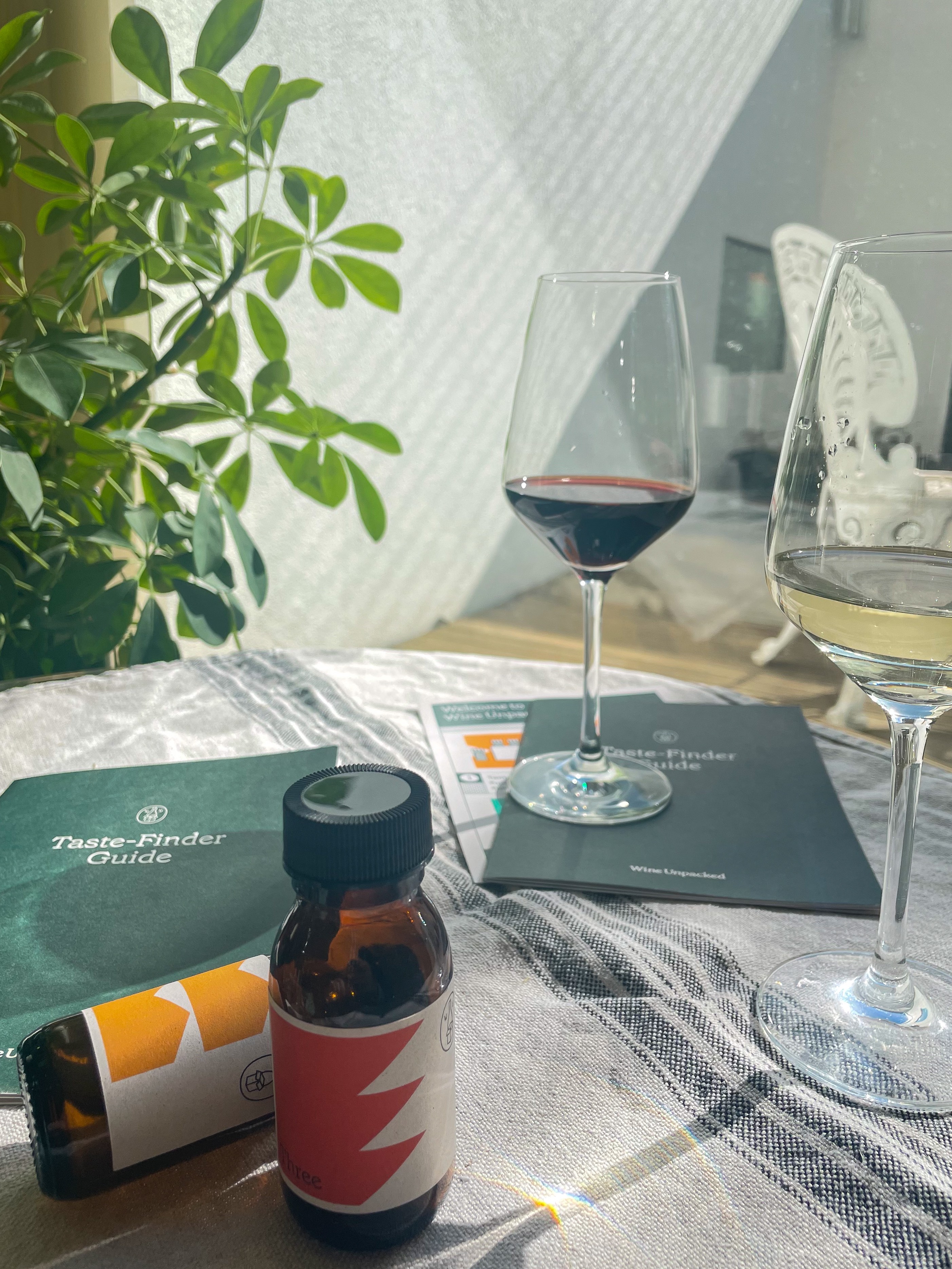 Wine Tasting Kit with Wine Glasses