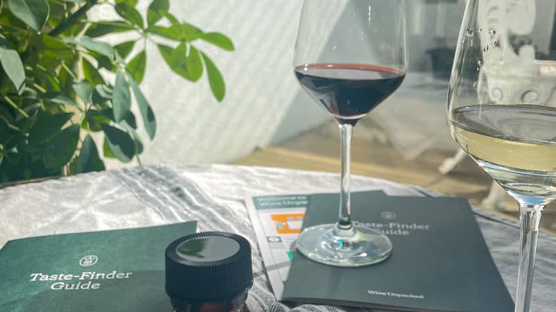 Wine Tasting Kit with Wine Glasses