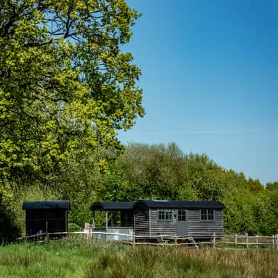 Dimpsey Dapple Shepherd Hut with sauna