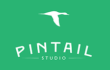 Pintail studios logo