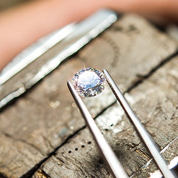 Ivory & co production image