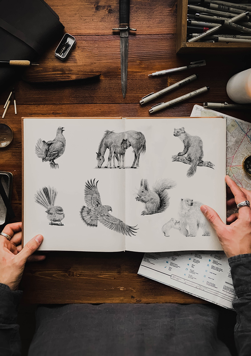 Wildlife animal sketches 