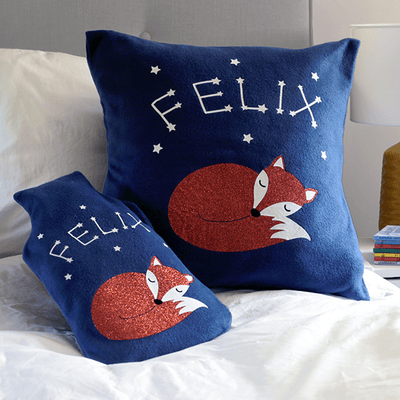 sleeping fox cushion and hot water bottle