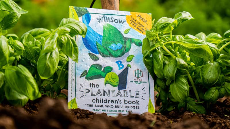 Our basil book