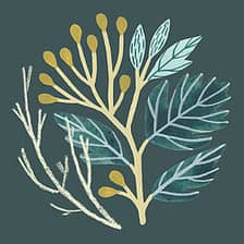 Claire Tuxworth Illustration logo