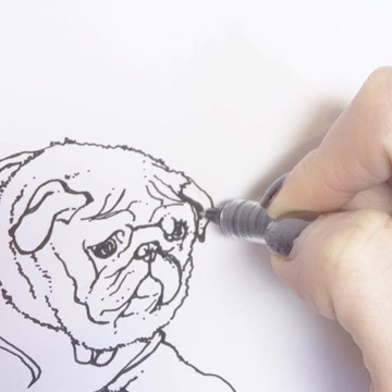 Personalised pet portrait