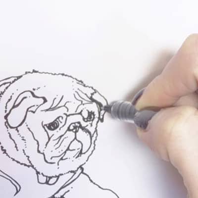 Personalised pet portrait