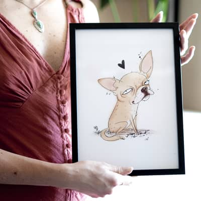 Chihuahua pet portrait