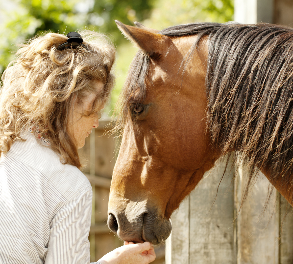 Nicky Lewis at home on the family croft