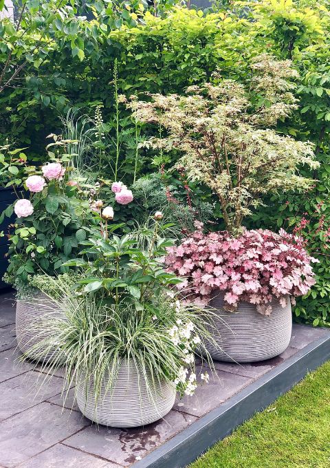 Nikki Hollier Border in a Box