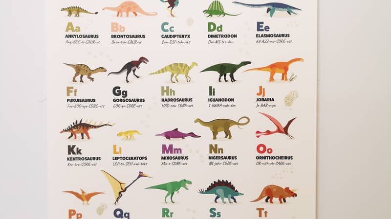 Dinosaur Alphabet with Picture Hanger