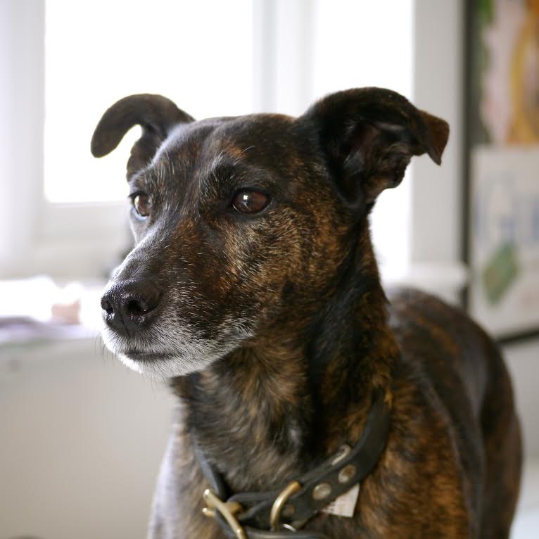 Staff come in all shapes and sizes!