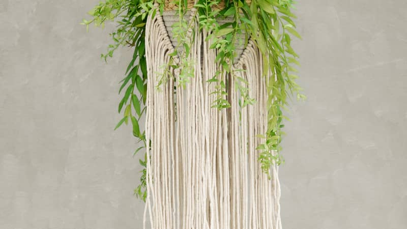 macrame fringed hanging plant basket