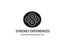 Synergy Experiences logo