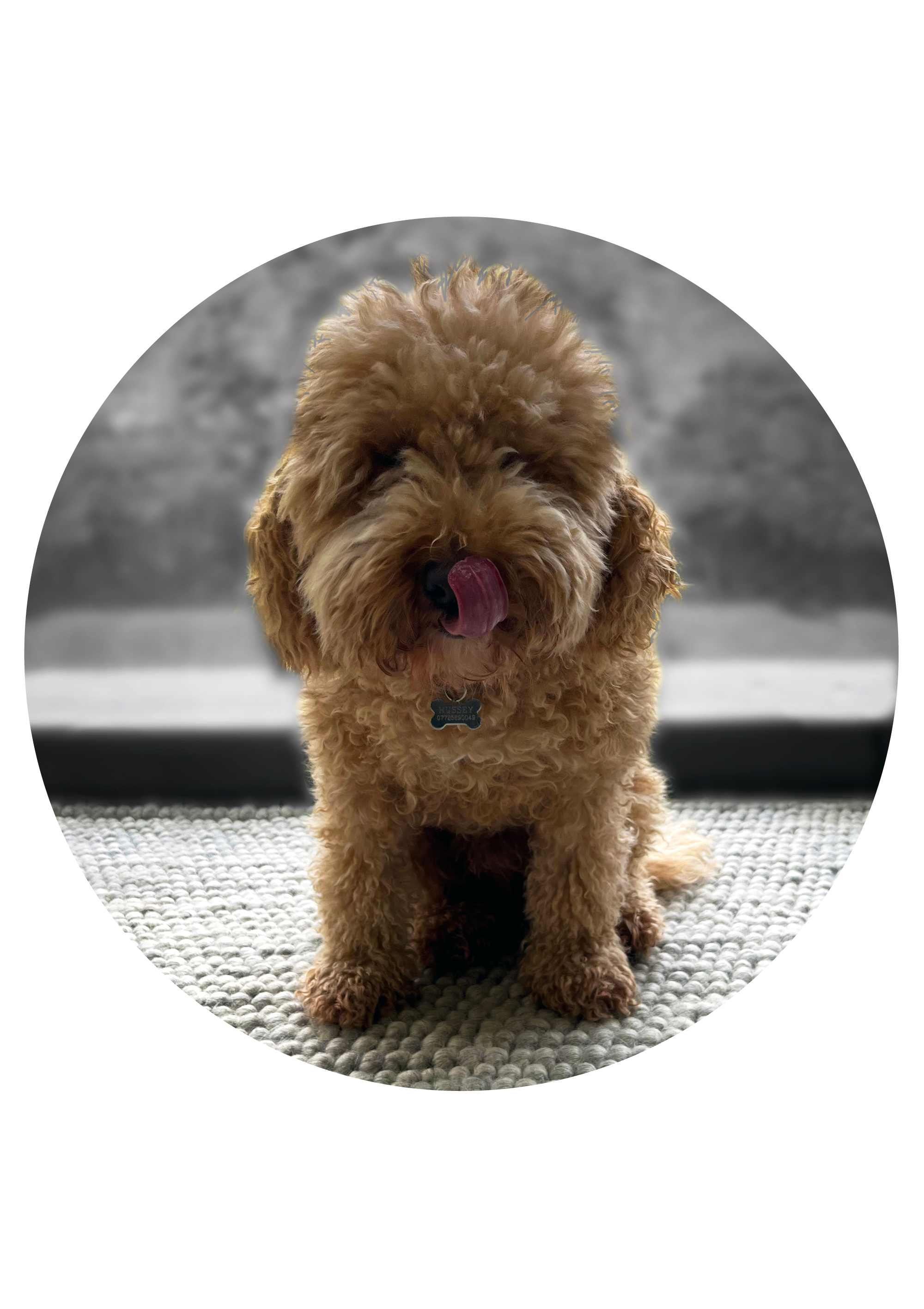 Back in the end we spent our time making sculptures from scrap metal. Welding old pieces together to create quirky shapes, animals and abstract figures. 