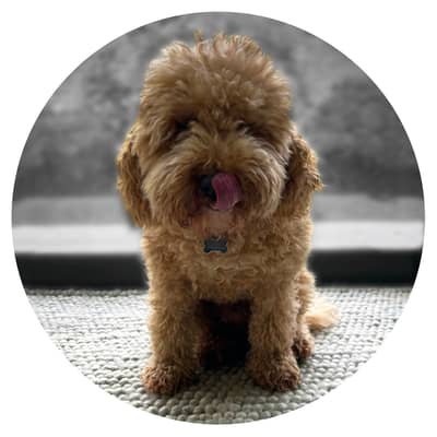 Back in the end we spent our time making sculptures from scrap metal. Welding old pieces together to create quirky shapes, animals and abstract figures.