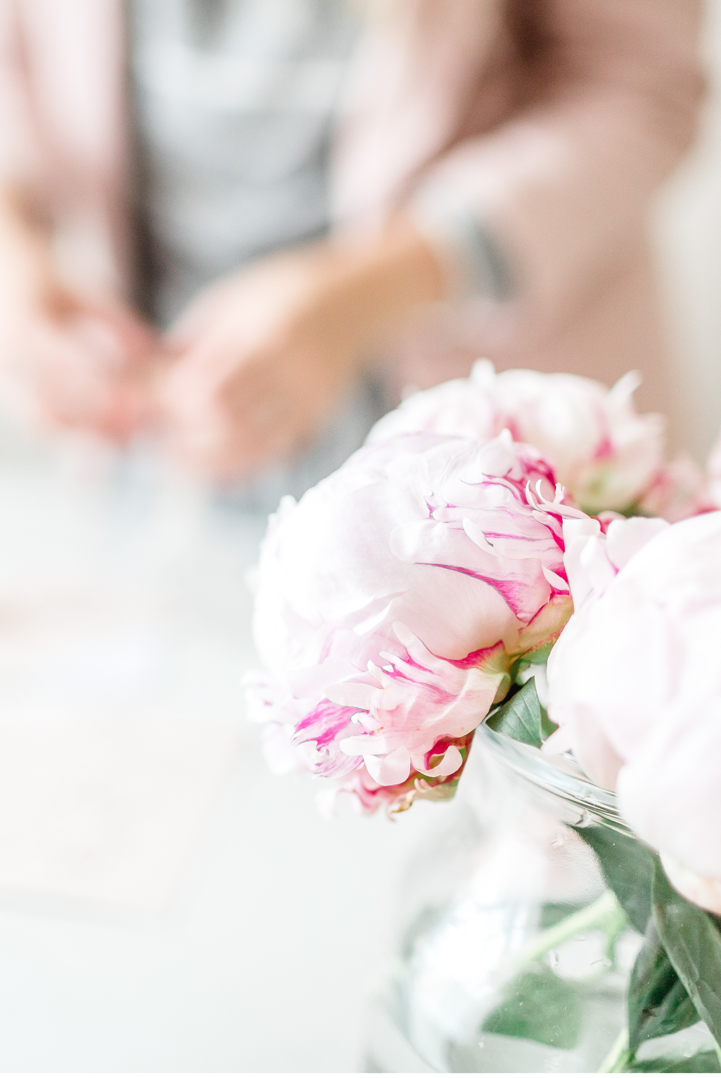 The Modest Love Collection