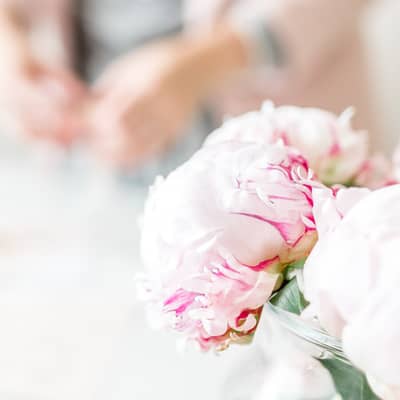 The Modest Love Collection