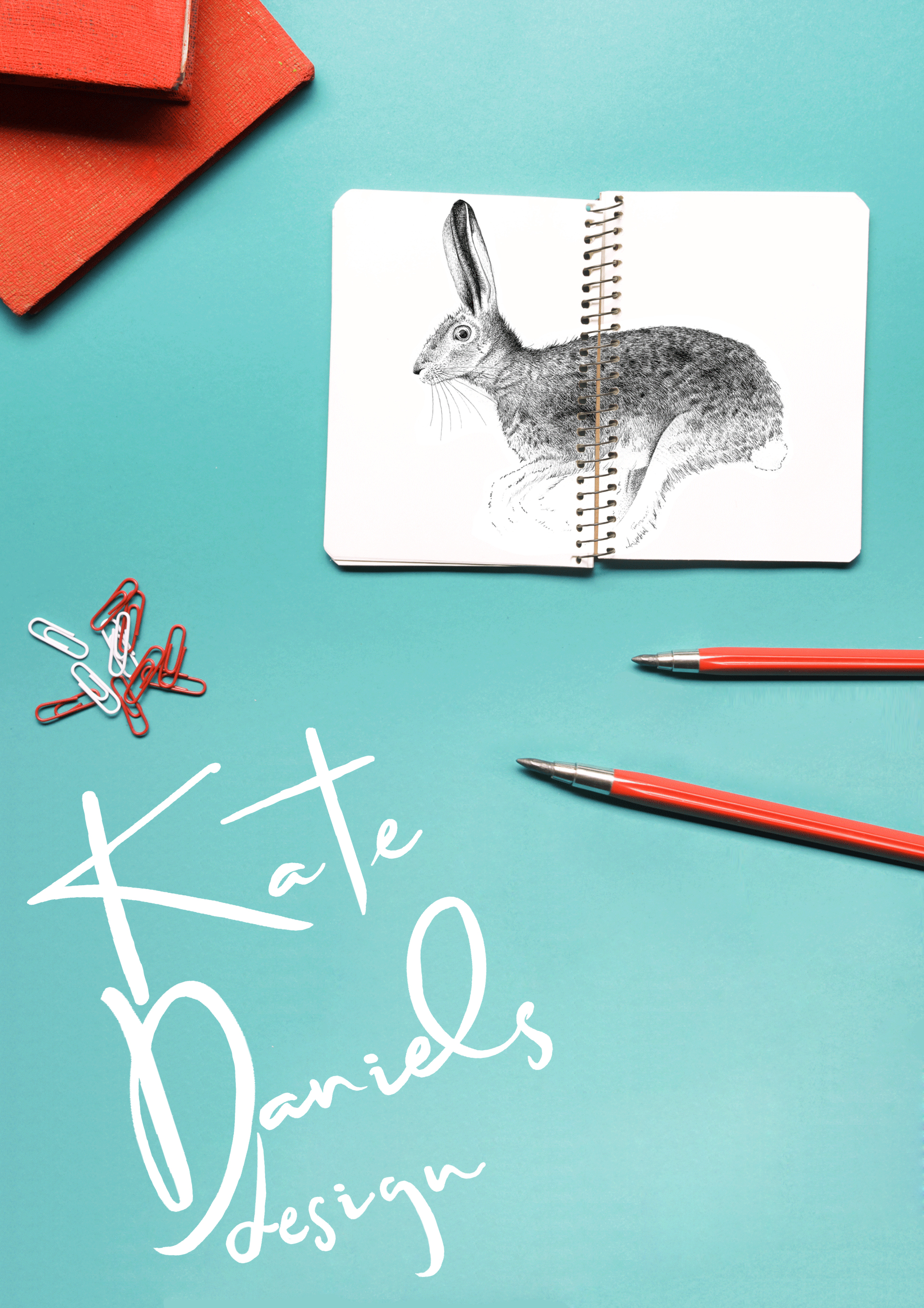 Kate Daniels illustrated hare sketckbook