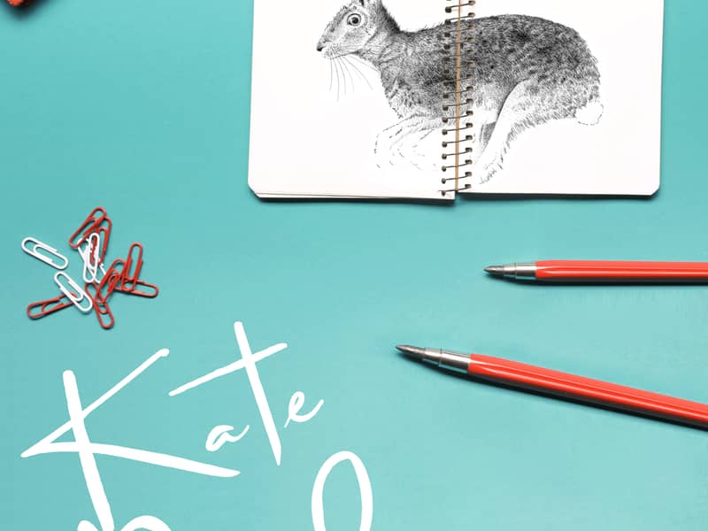 Kate Daniels illustrated hare sketckbook