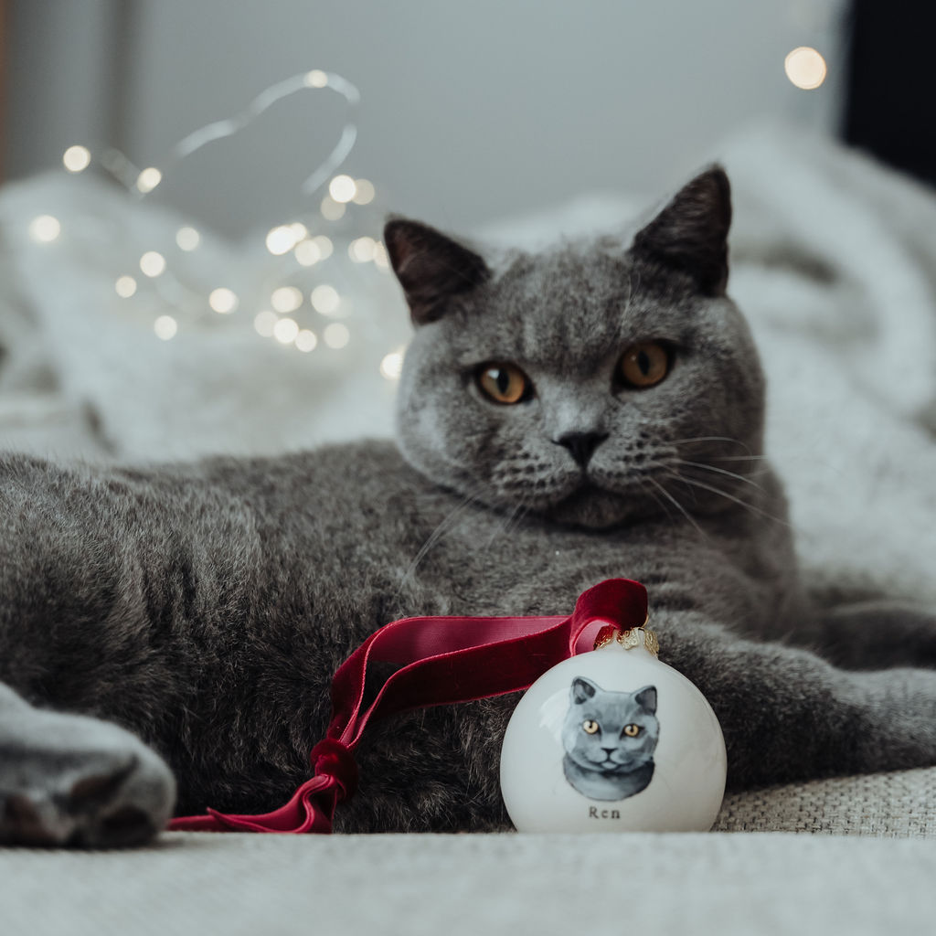 Pet Portrait Bauble