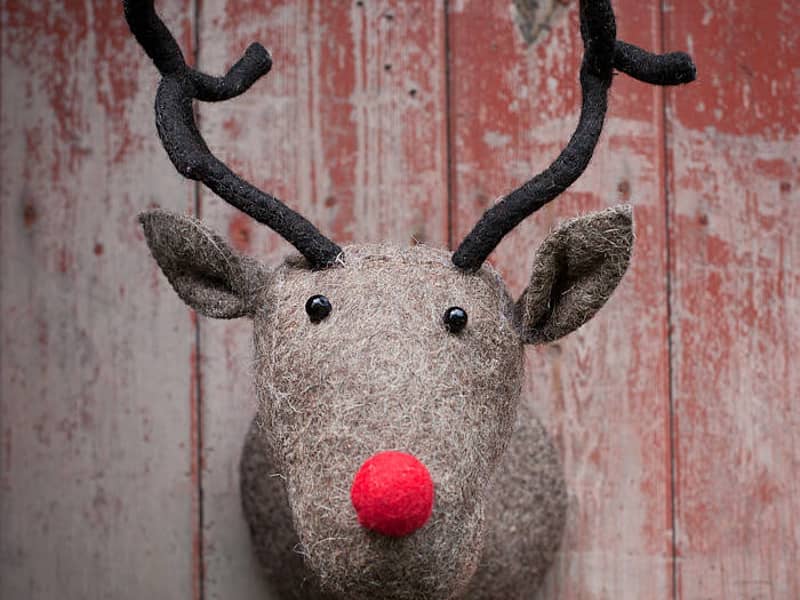 Reindeer Head