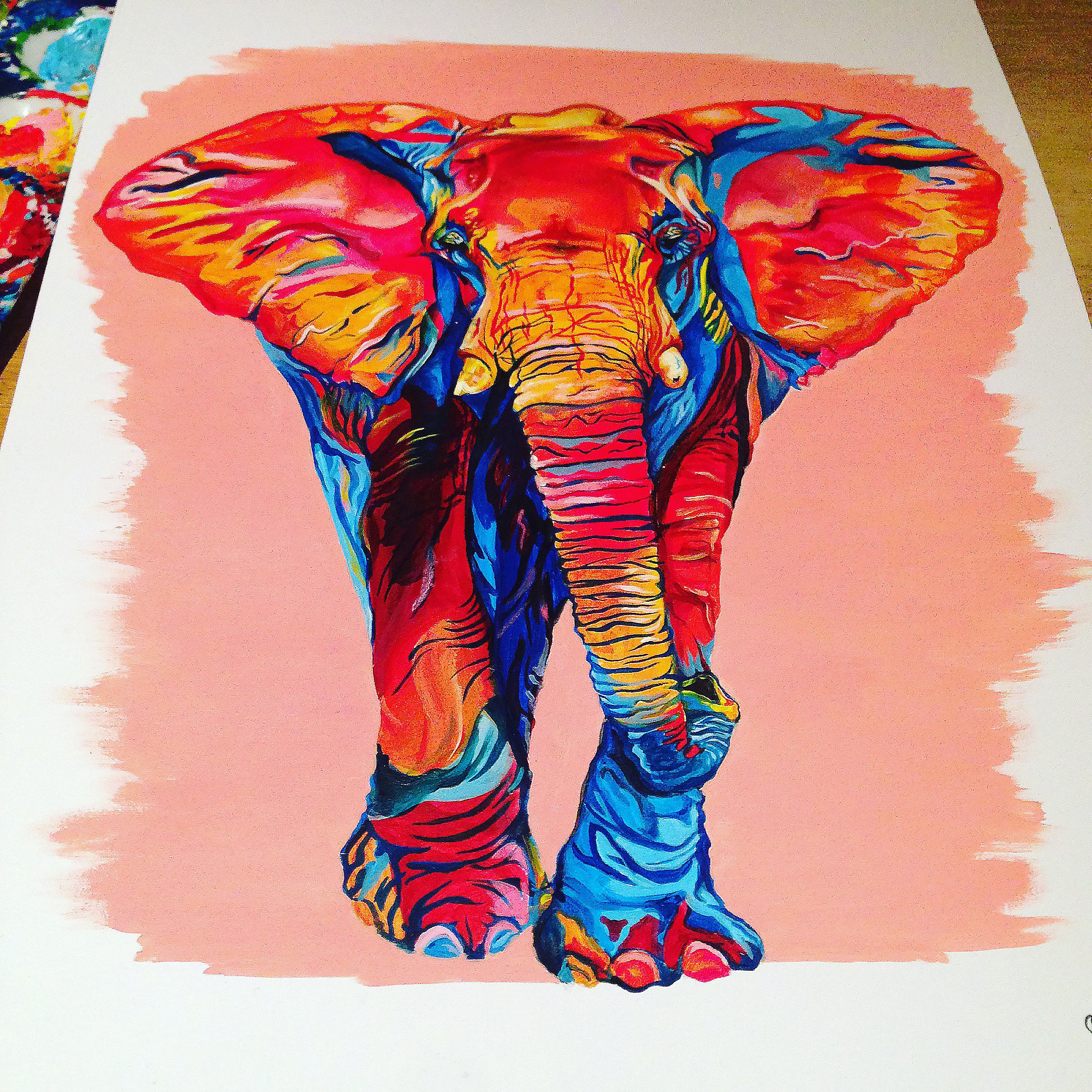 colourful multicoloured acrylic elephant painting