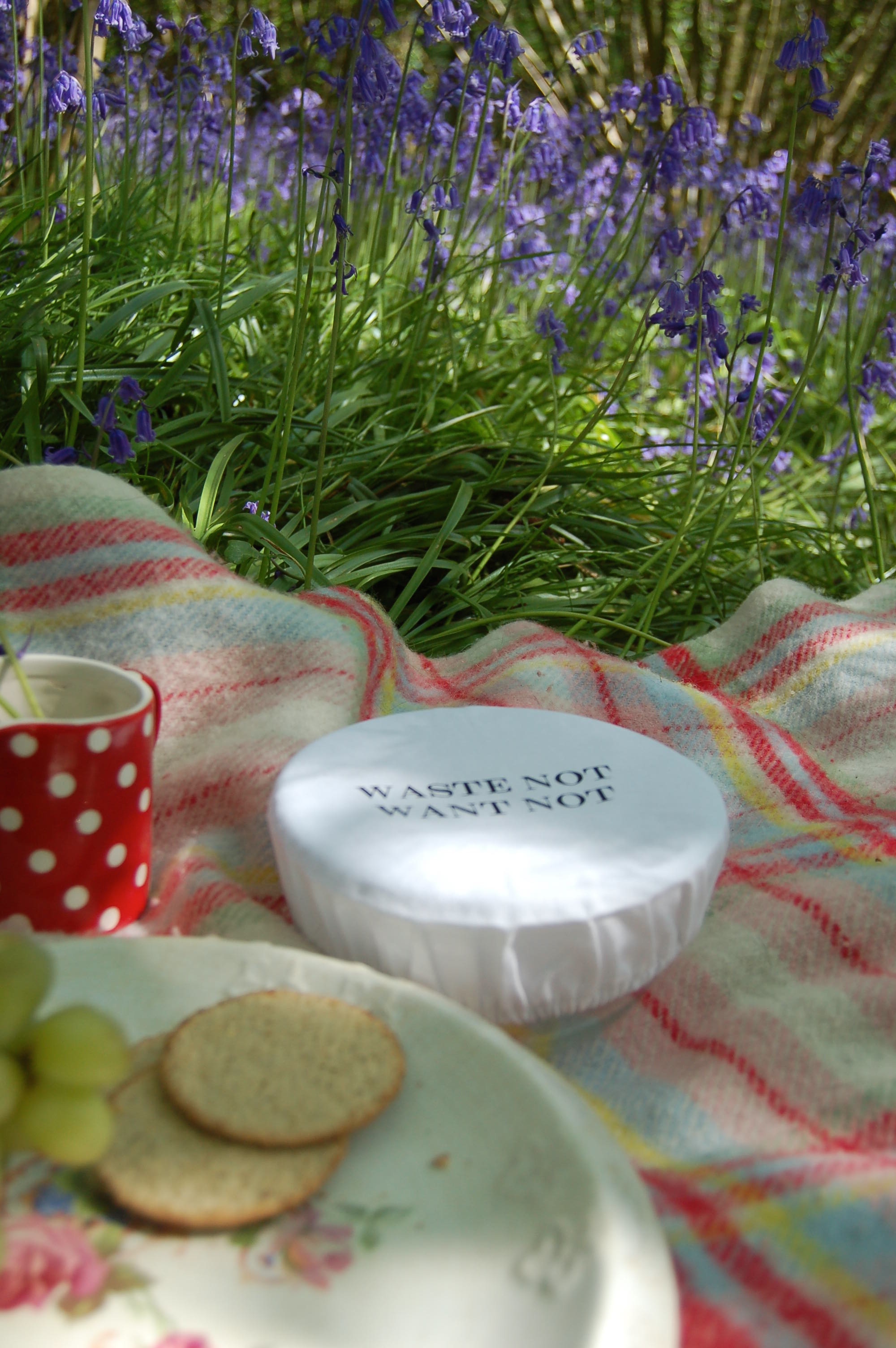 bowlovers in the sunshine