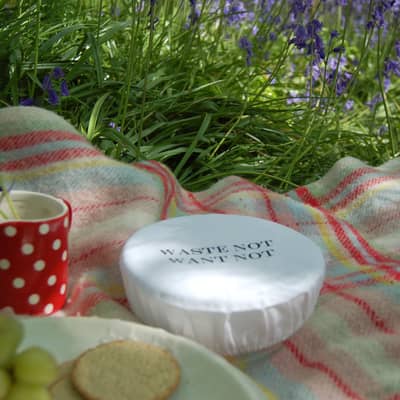 bowlovers in the sunshine