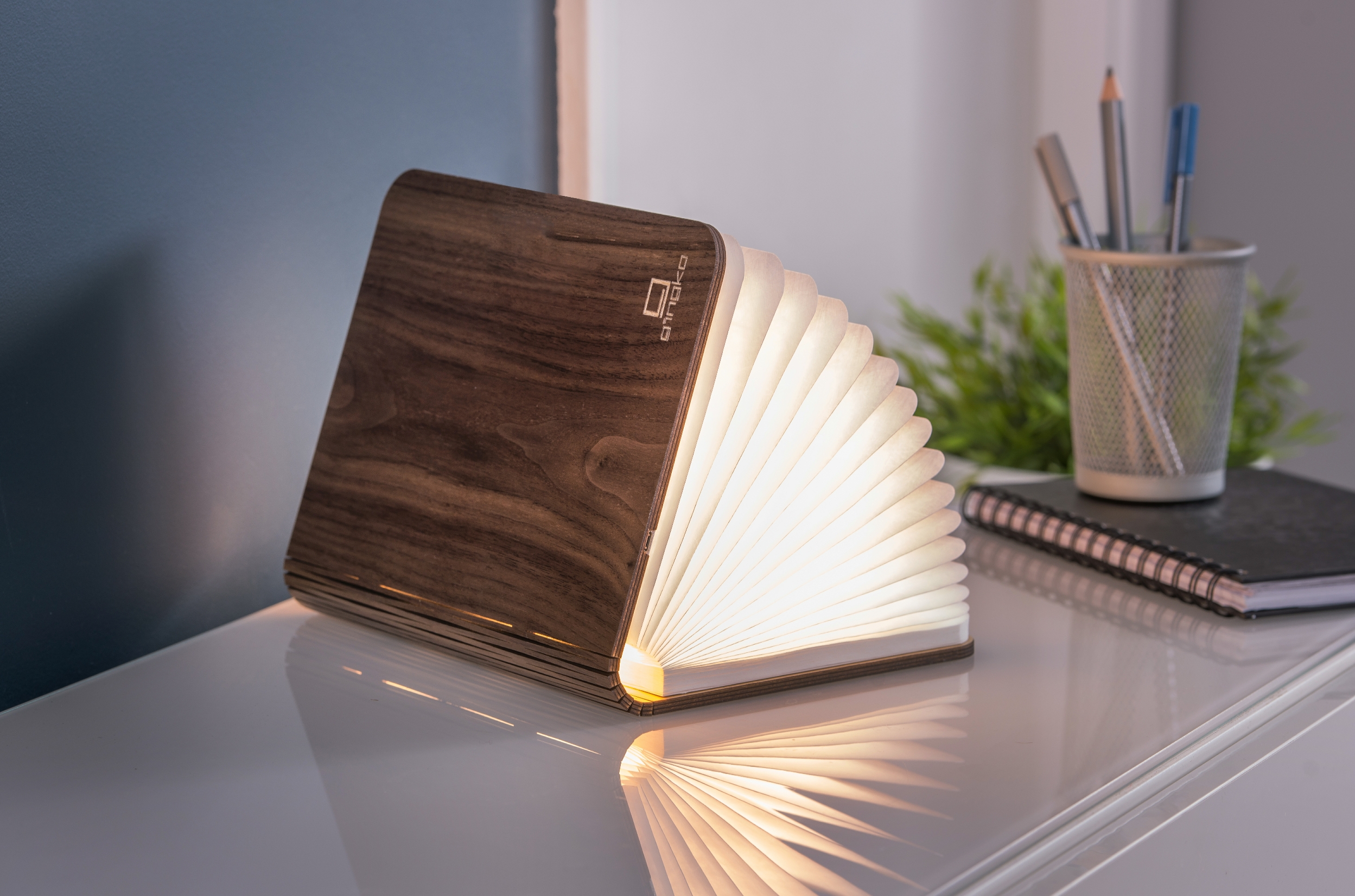 Smart Book Light