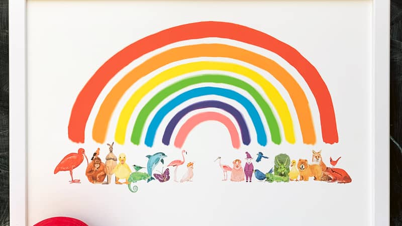 Animal Rainbow print