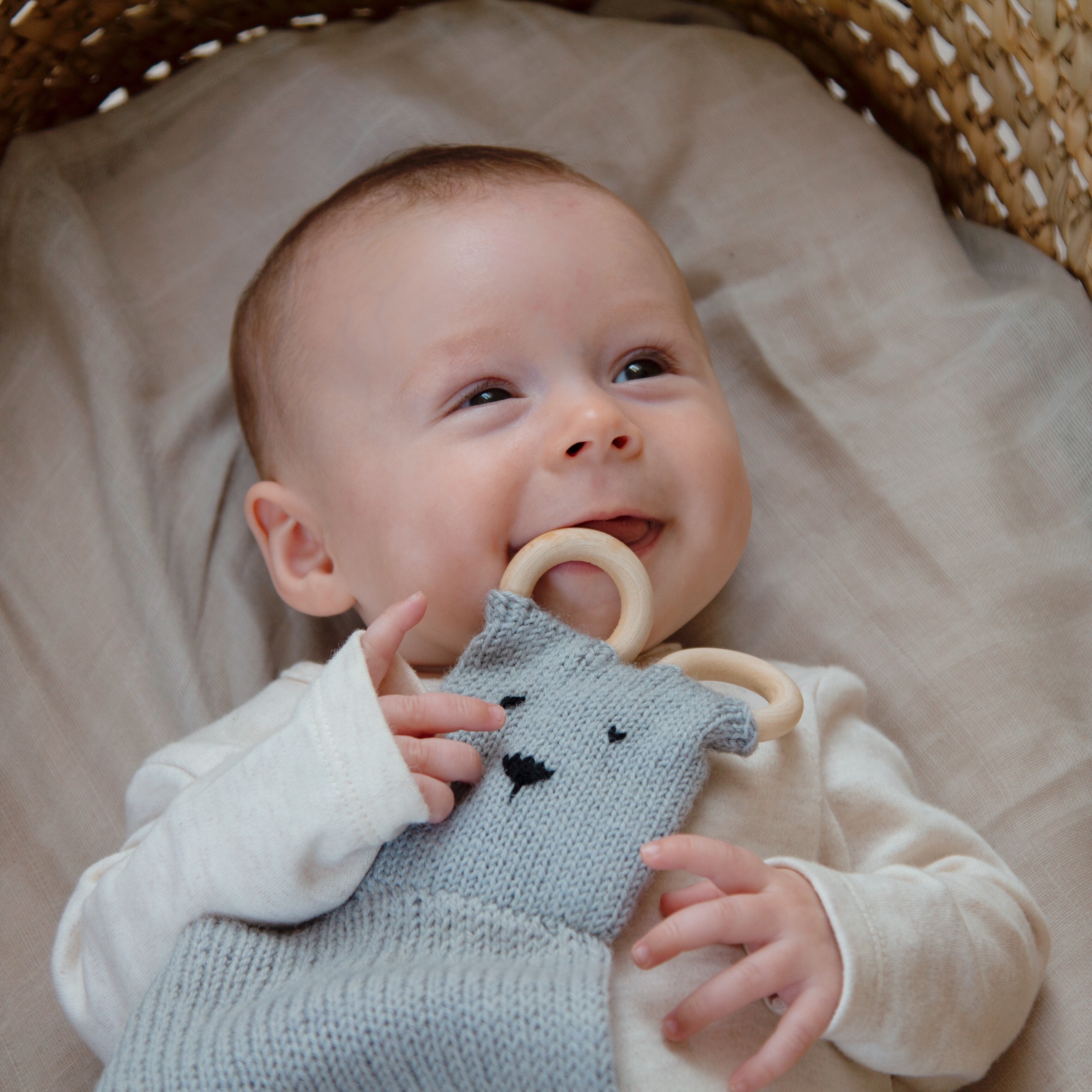 Designer/Maker - Amy Philip