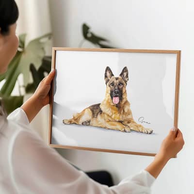 A stunning watercolor pet portrait of a German Shepherd, framed and held by a person.