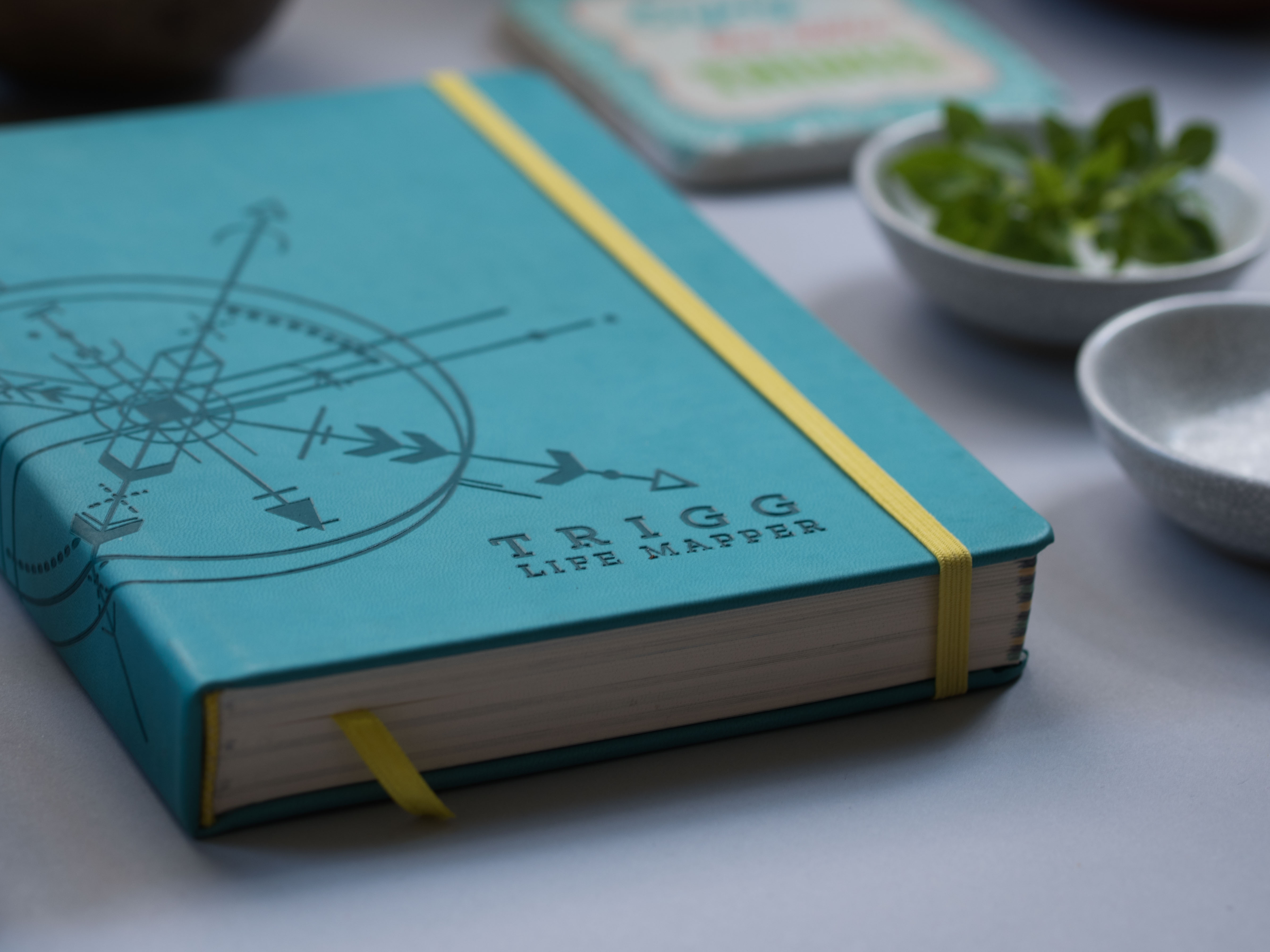 2023Trigg Life Mapper