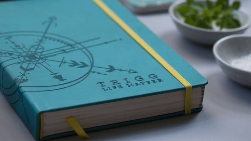 2023Trigg Life Mapper