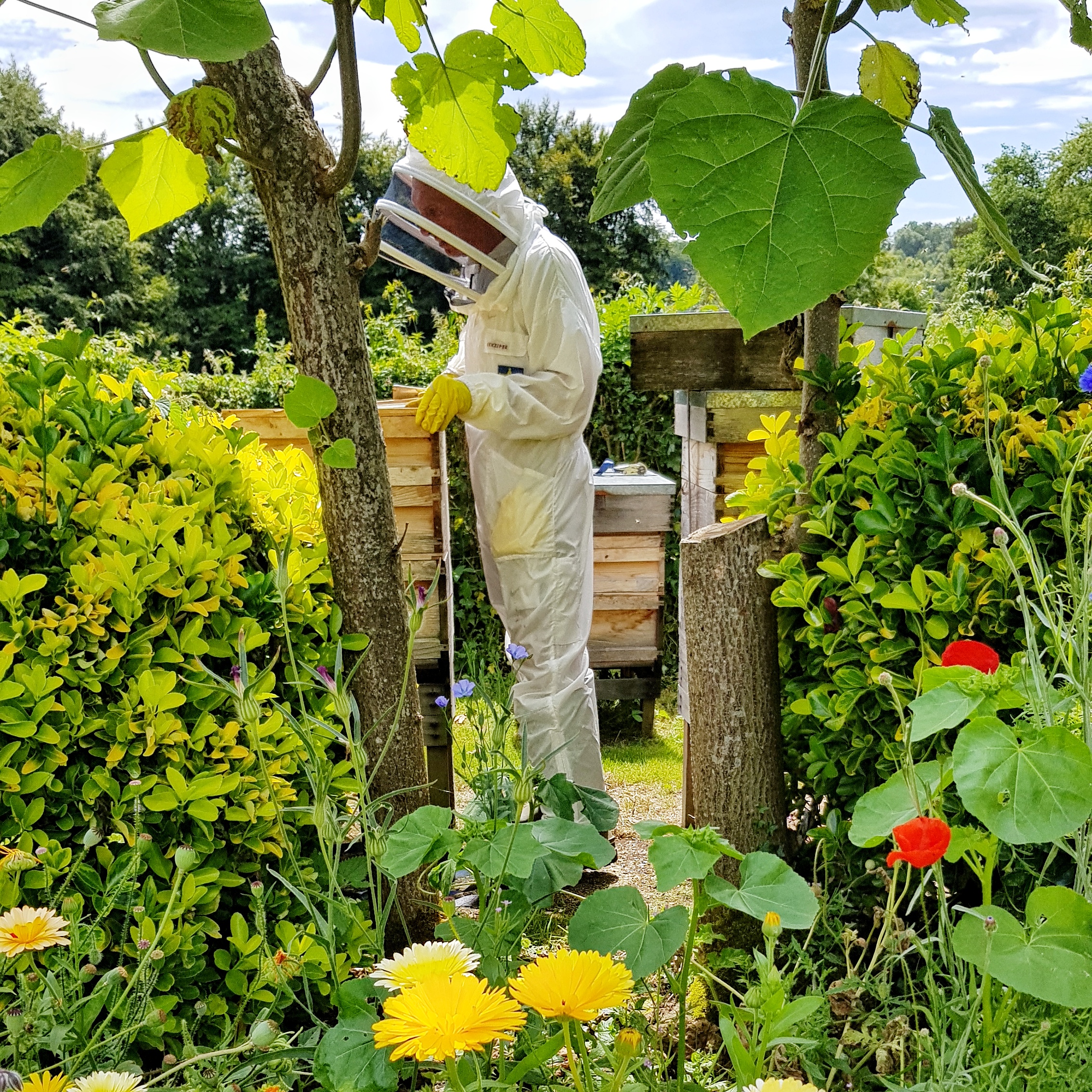 Raw British honey is nature's sweetener