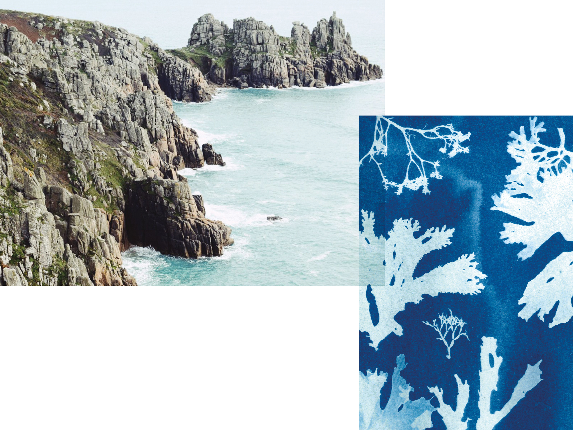 Collecting subject material in Cornwall, UK