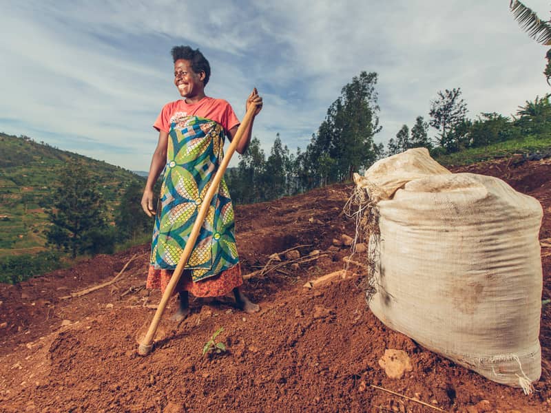 A Rwandan coffee grower