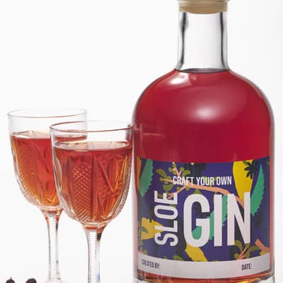 Hedgerow Sloe Gin